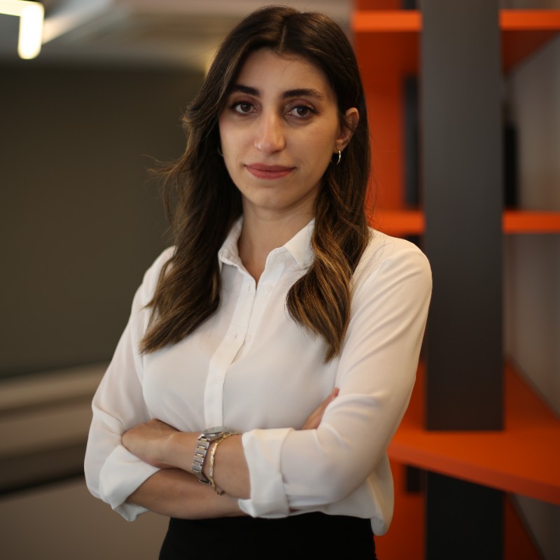 Assist. Prof. Dr. Güneş Akça
